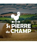 ST PIERRE DU CHAMP